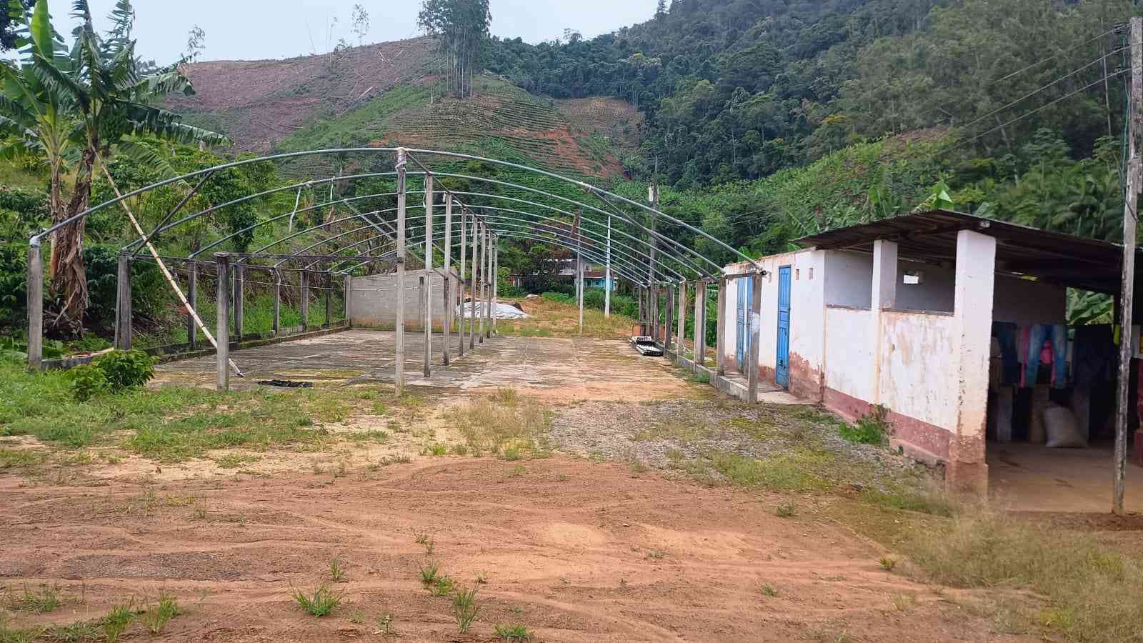 Terreno com Estufa