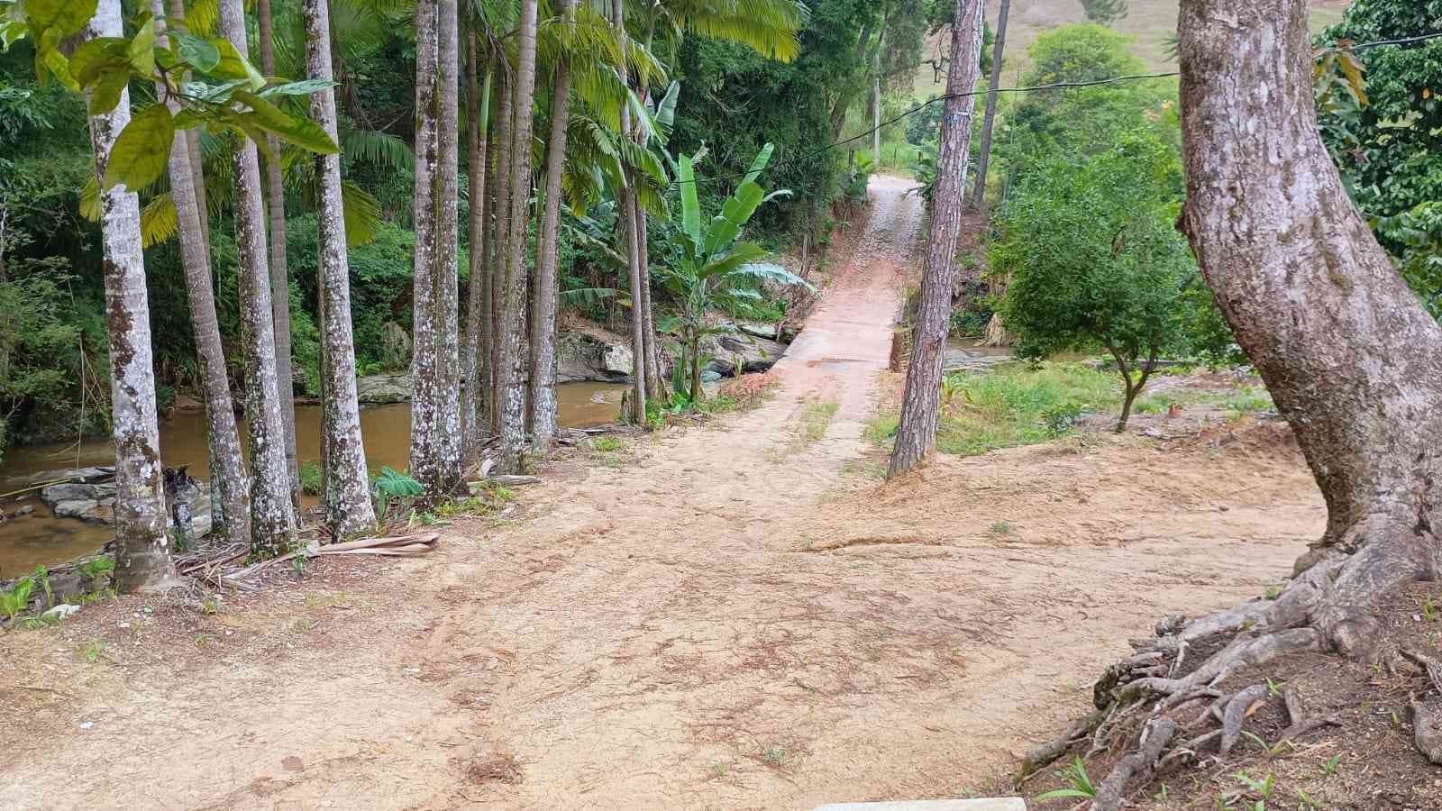 Terreno com Estufa
