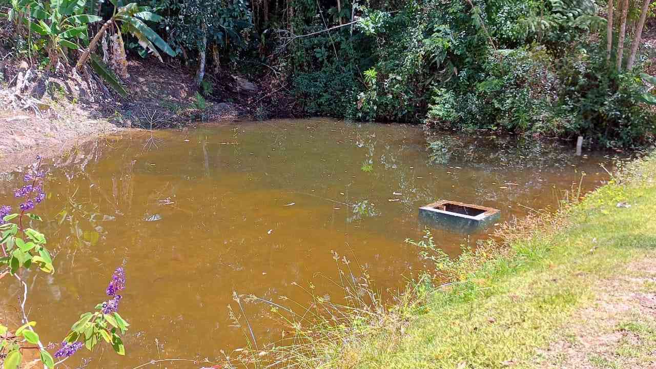 Terreno com Lagoa e Frutas