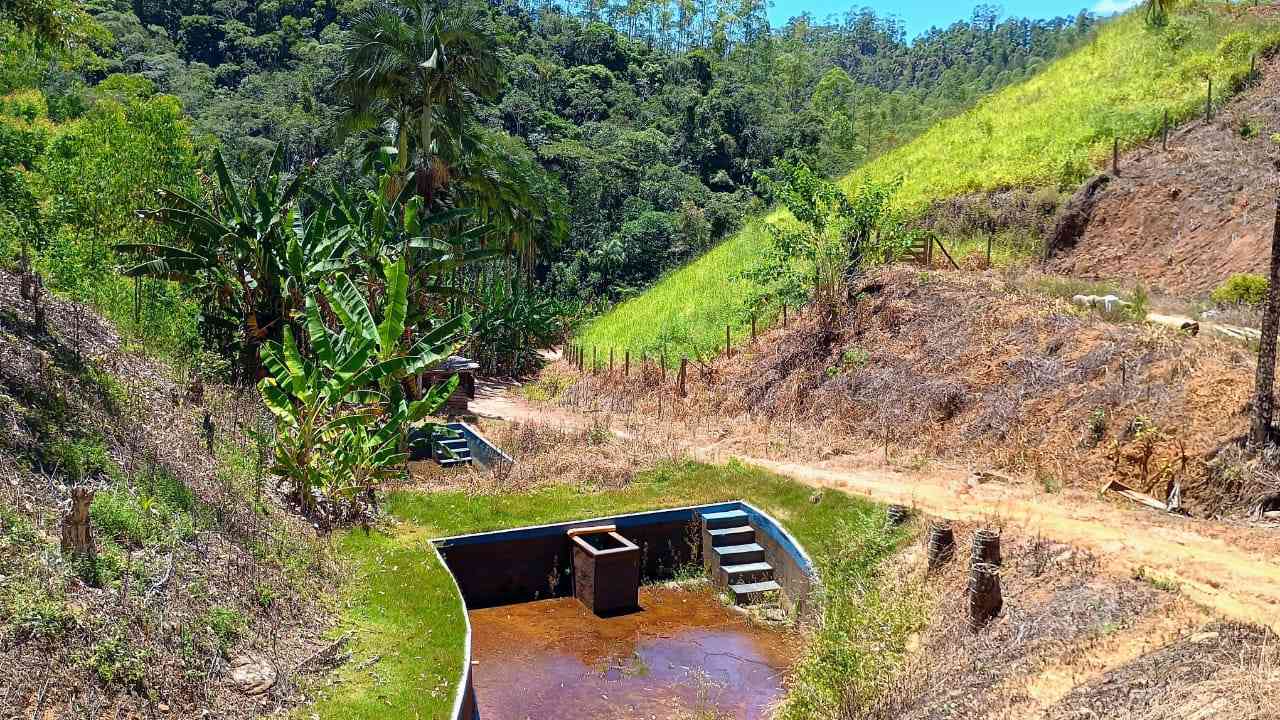 Terreno com Lagoa e Frutas