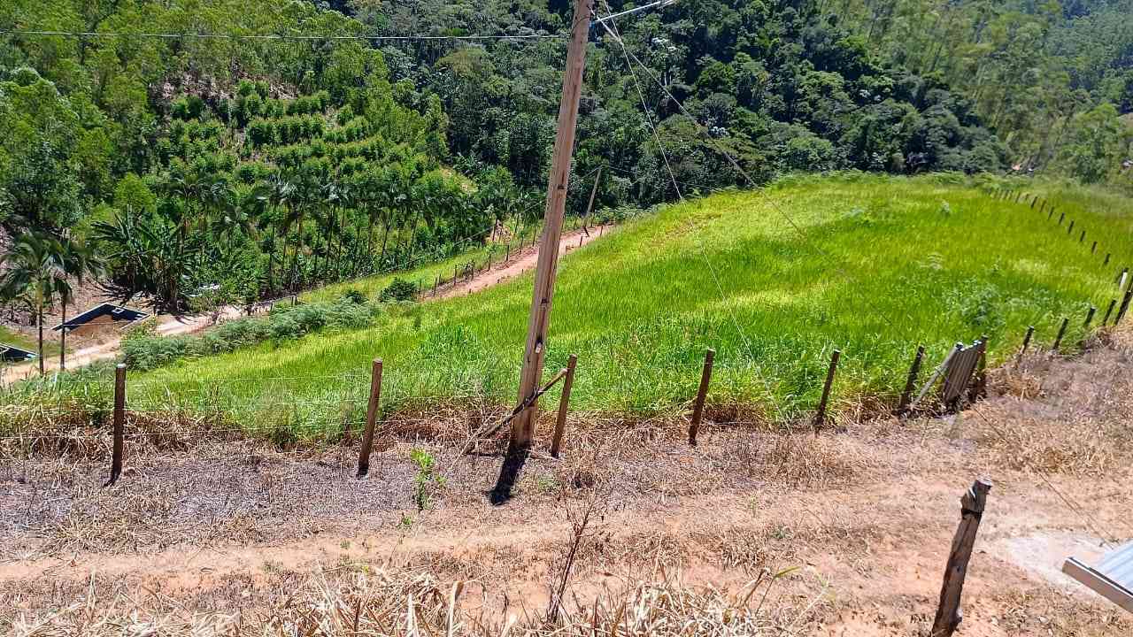 Terreno com Lagoa e Frutas