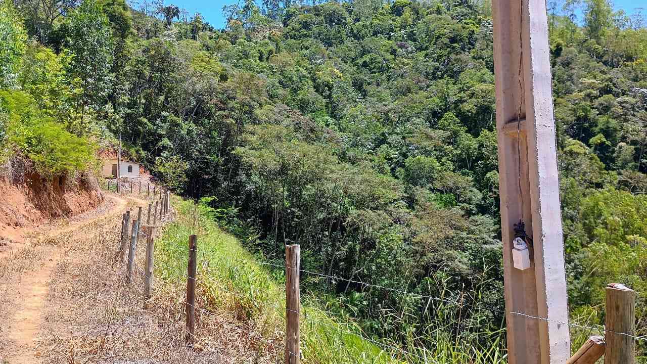 Terreno com Lagoa e Frutas