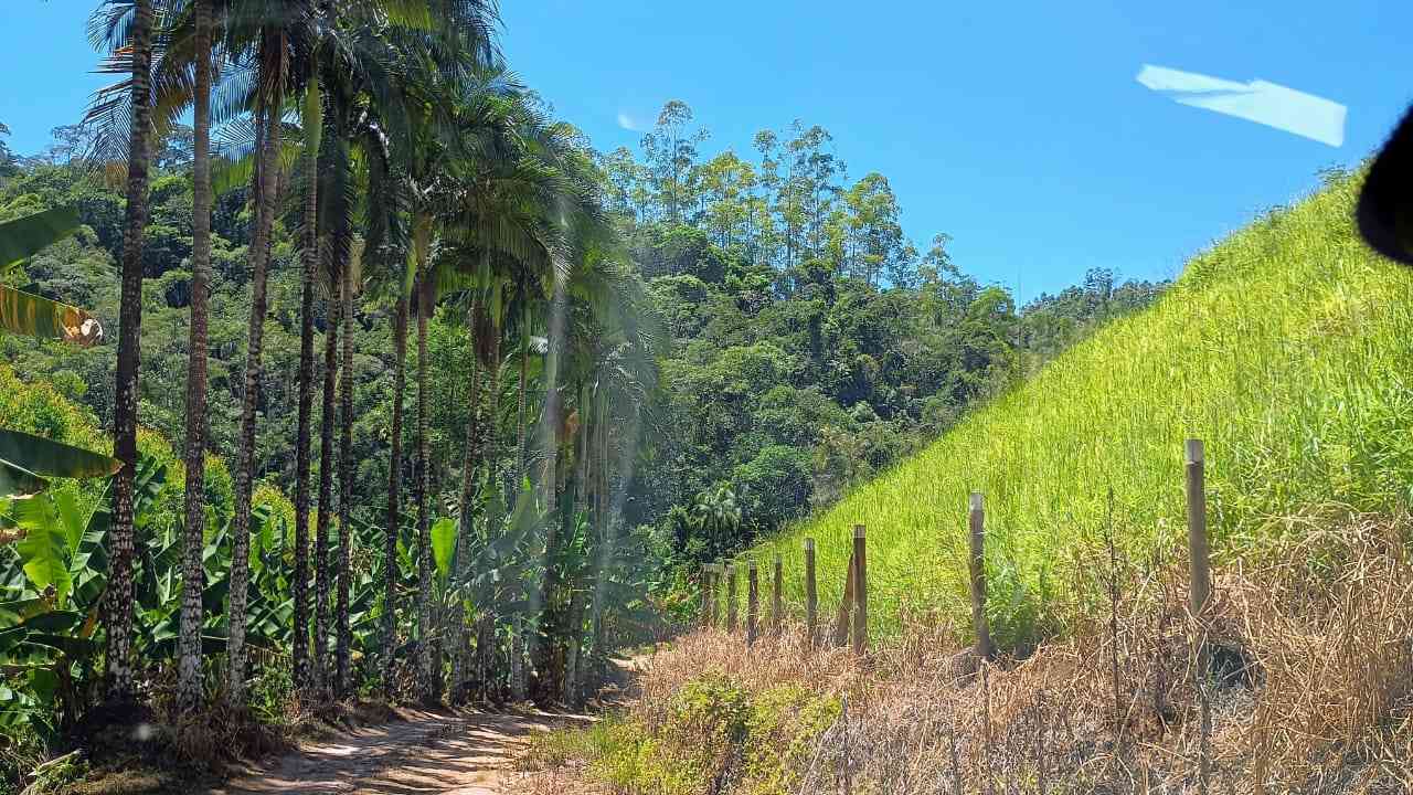 Terreno com Lagoa e Frutas