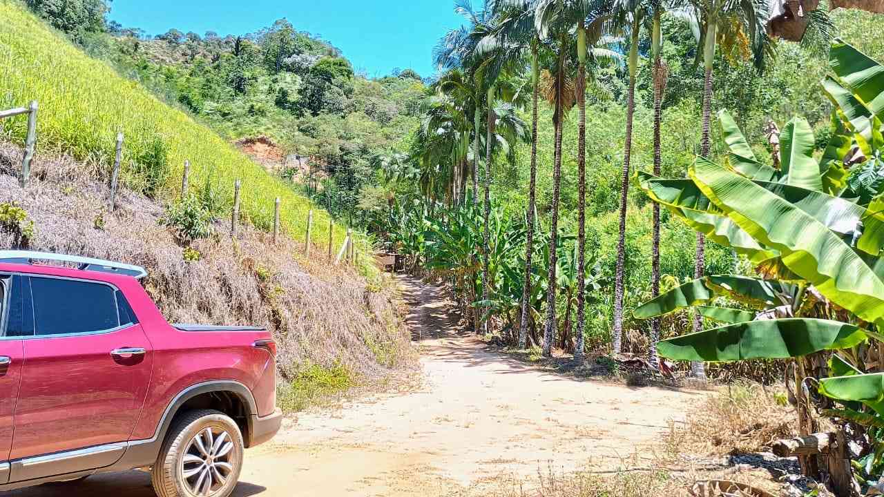 Terreno com Lagoa e Frutas