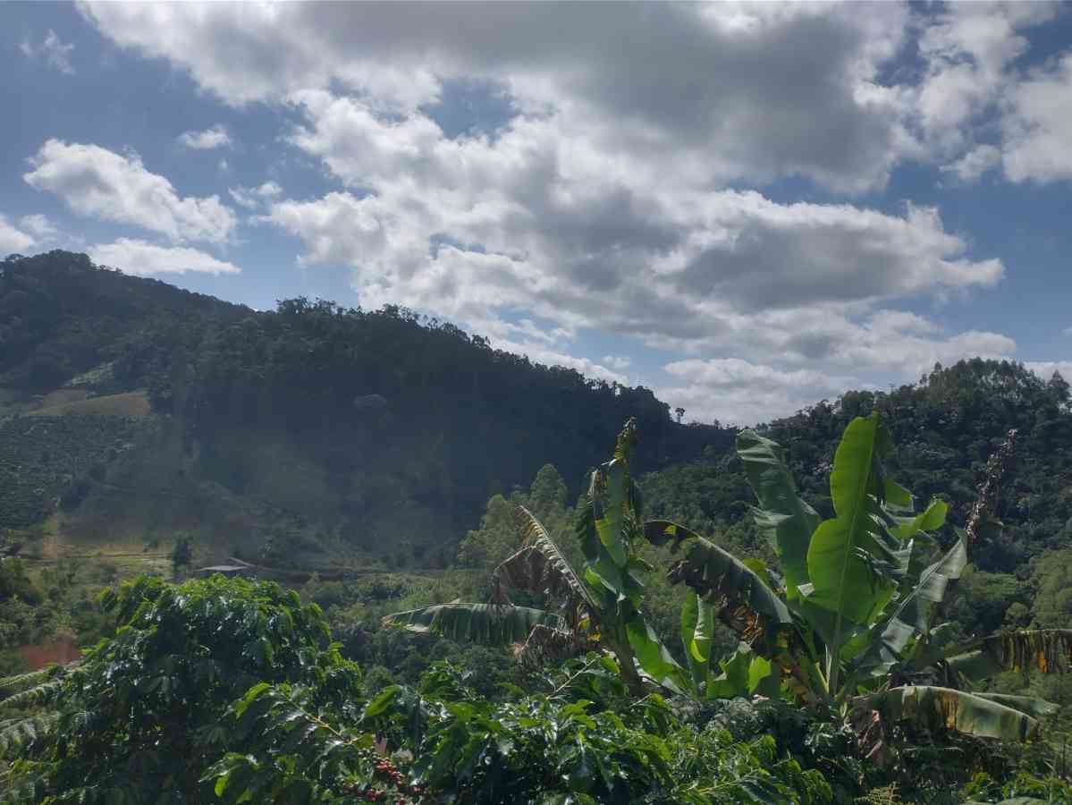 Terreno em Sumidouro