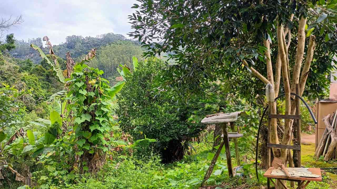 Terreno com Casa Simples