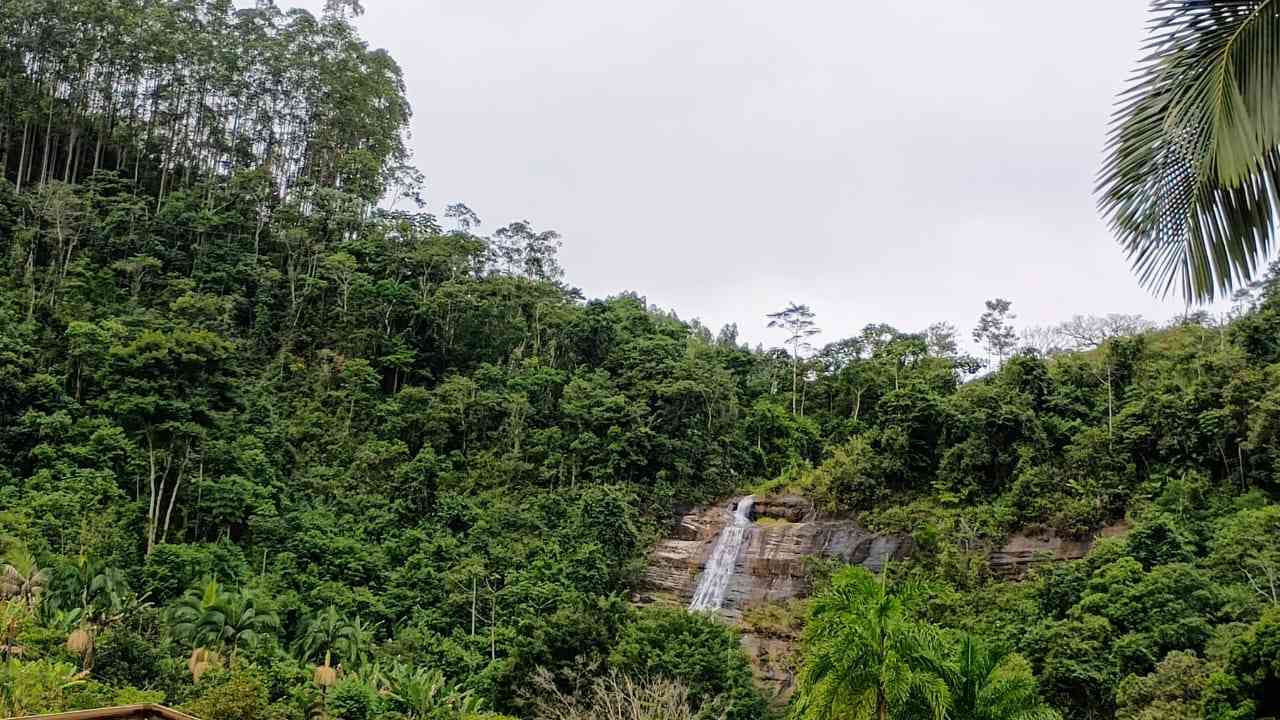 Terreno com Casa Simples