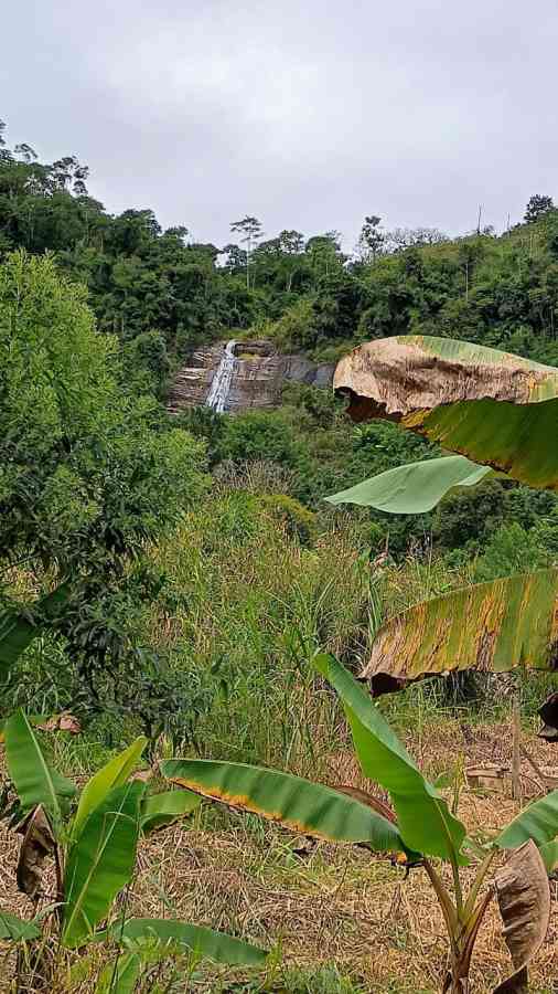 Terreno com Casa Simples