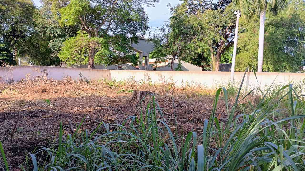 Lote em Departamento