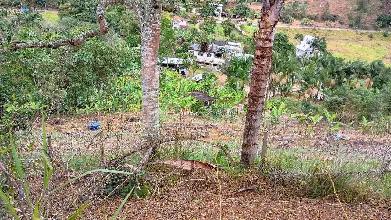 Terreno 1
