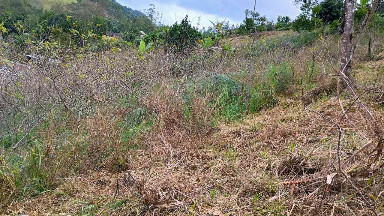 Terreno 1