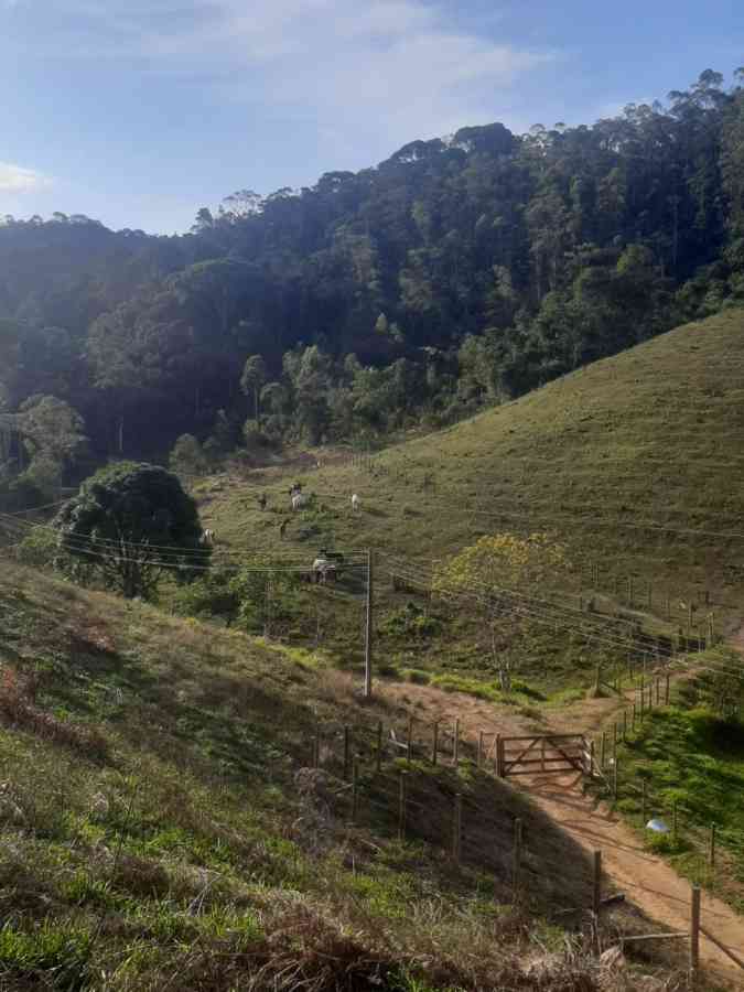 Terreno