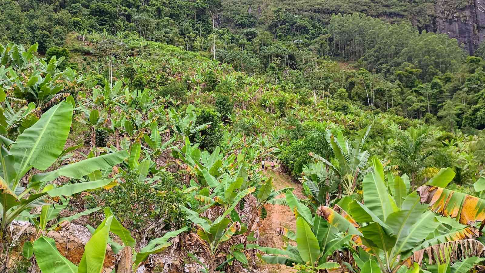 Terreno com Cachoeira