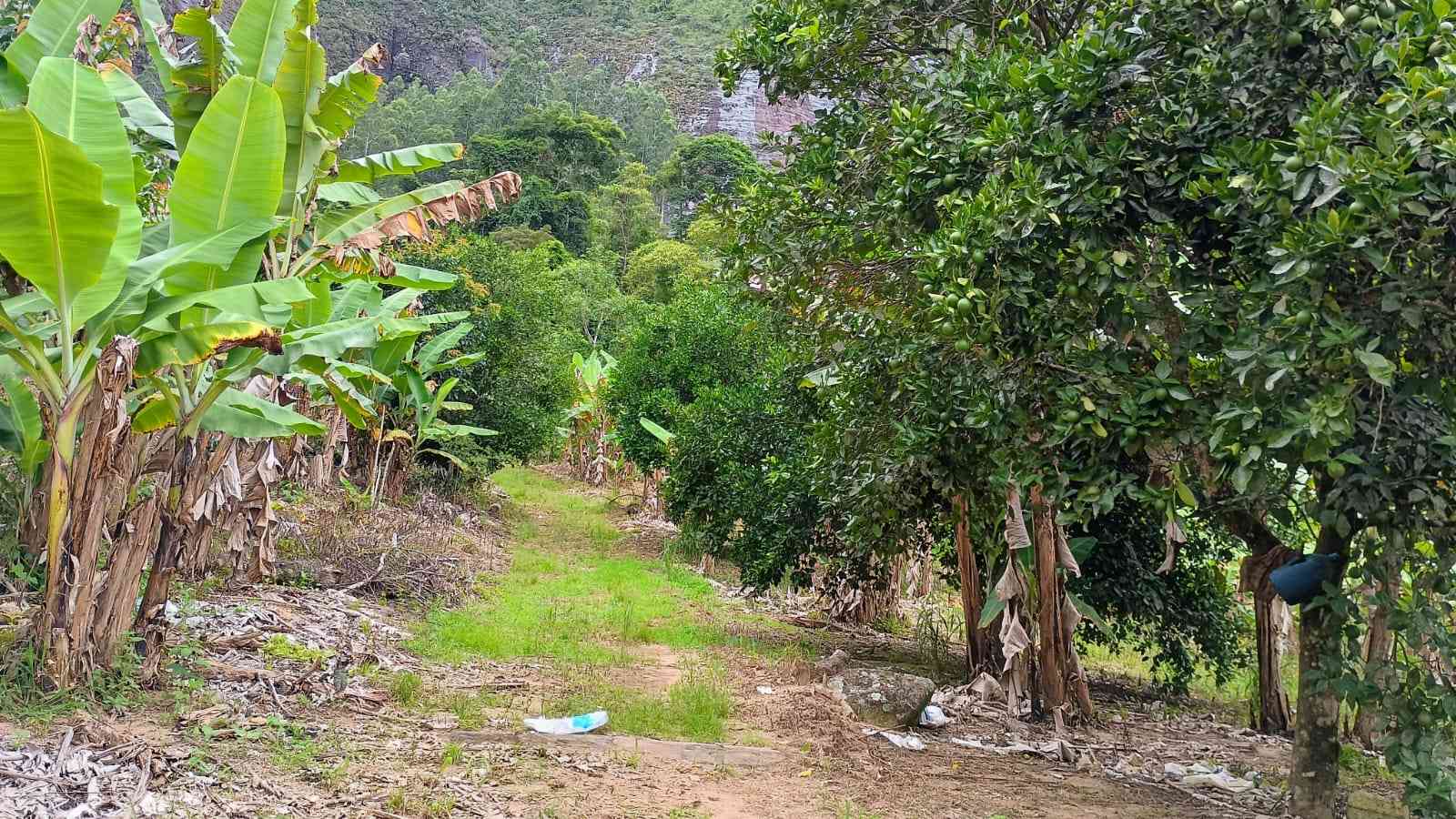 Terreno com Cachoeira