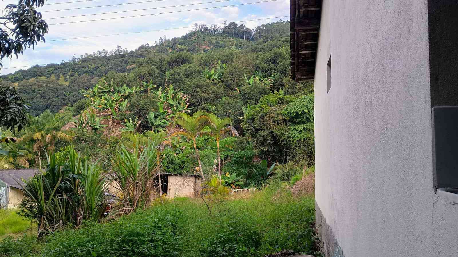 Terreno com Casa e Nascente