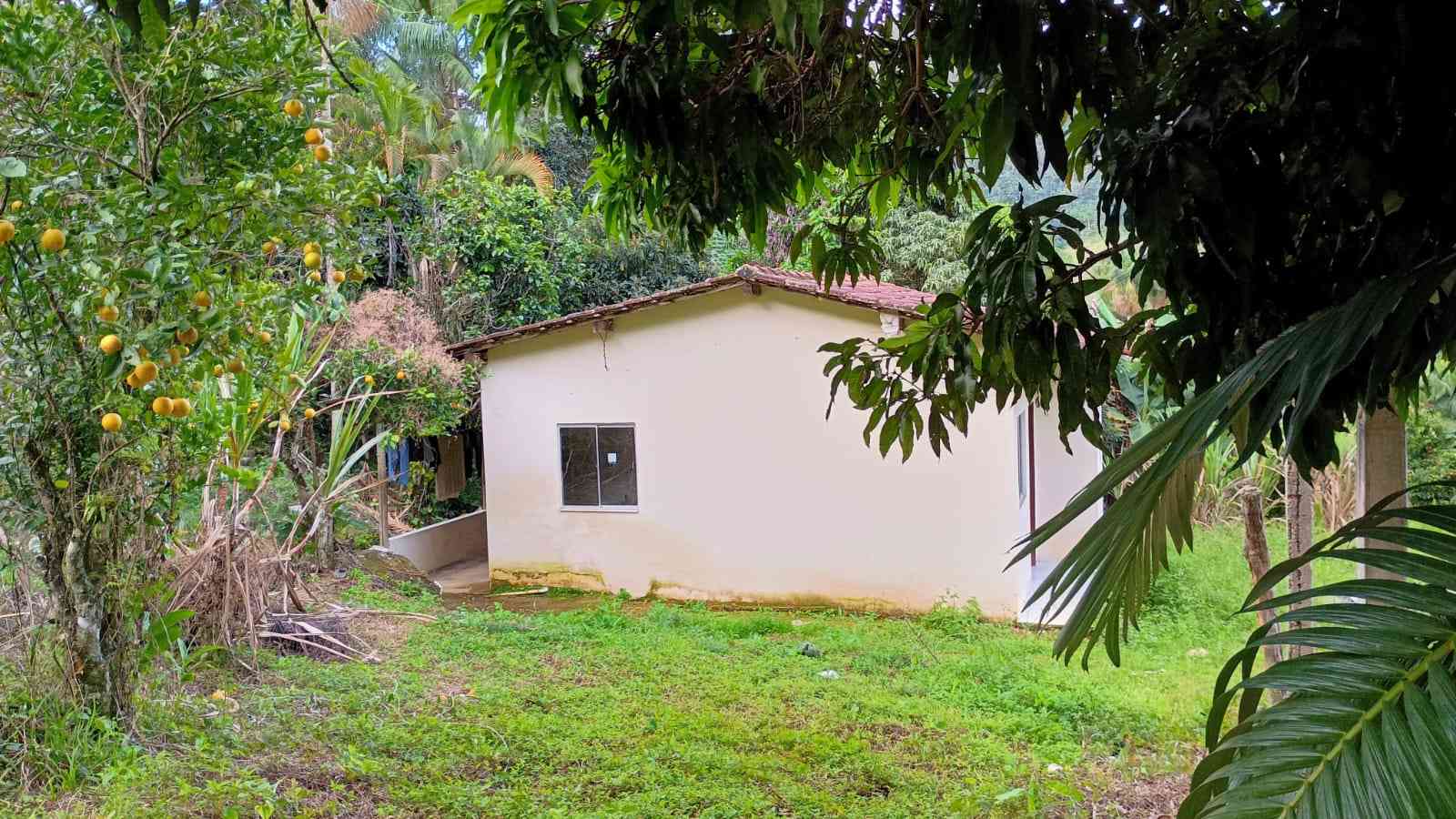 Terreno com Casa e Nascente