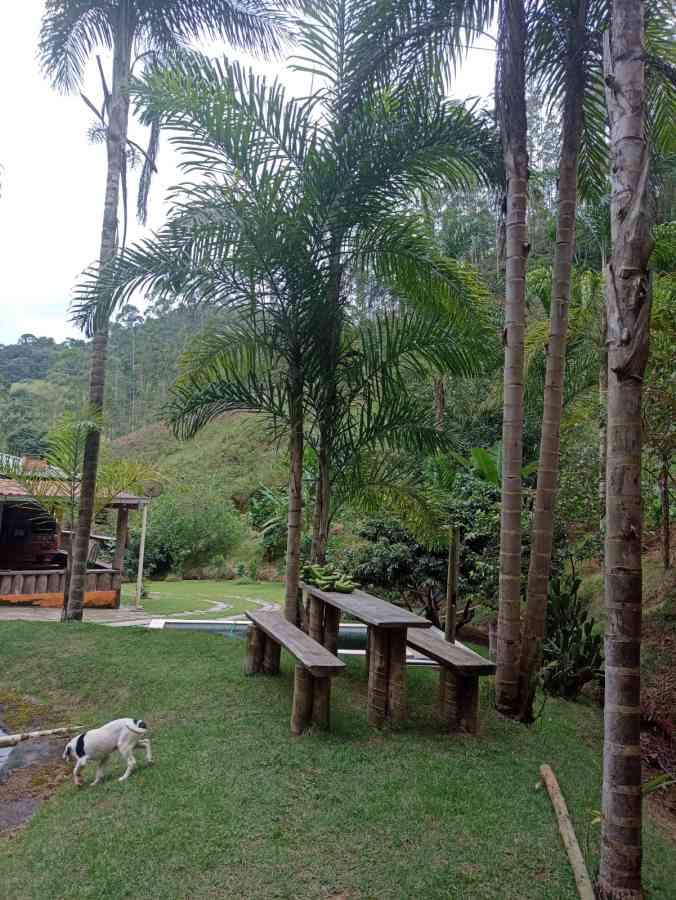 Casa Principal mais Casa de Caseiro