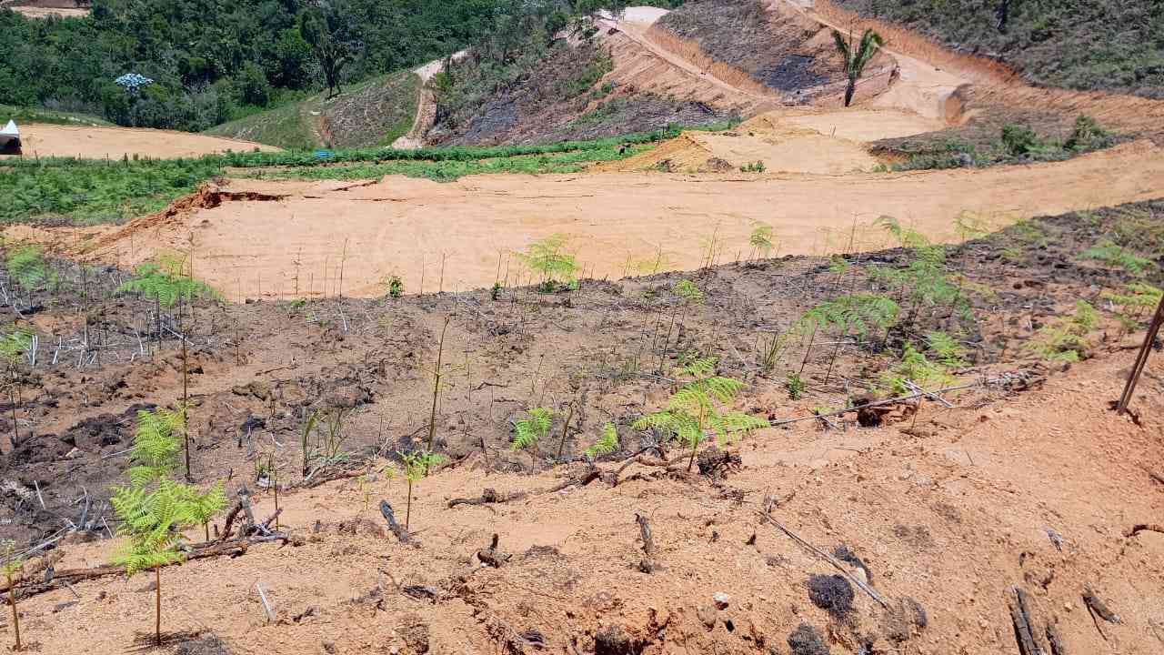 Terreno pronto para Construir
