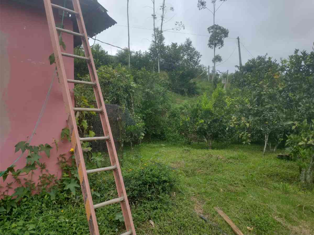 Terreno com Lagoa e Piscina