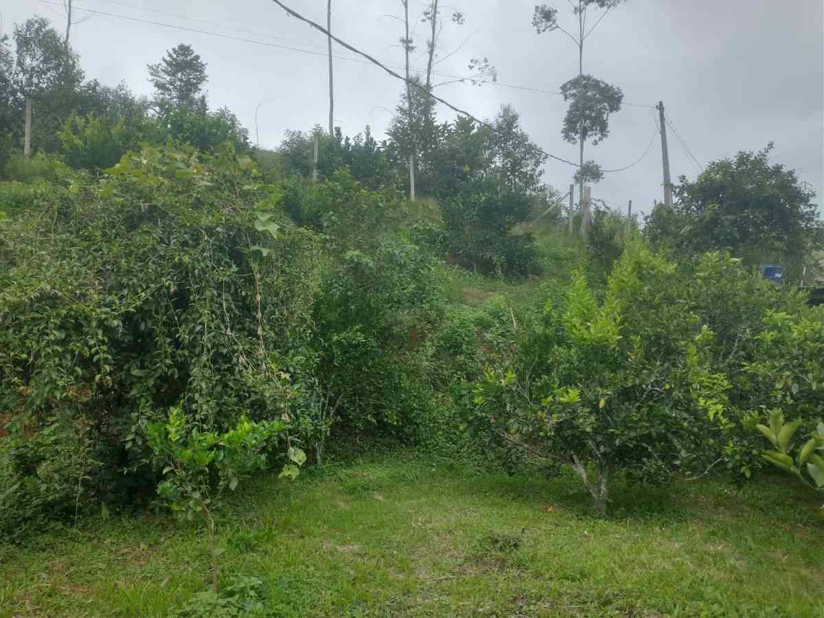 Terreno com Lagoa e Piscina